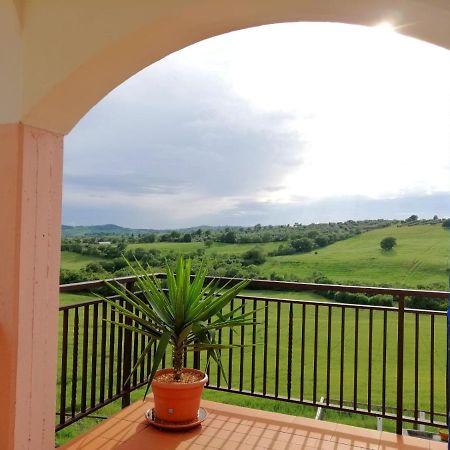 Agriturismo Podere Verdicchio スカンサーノ エクステリア 写真