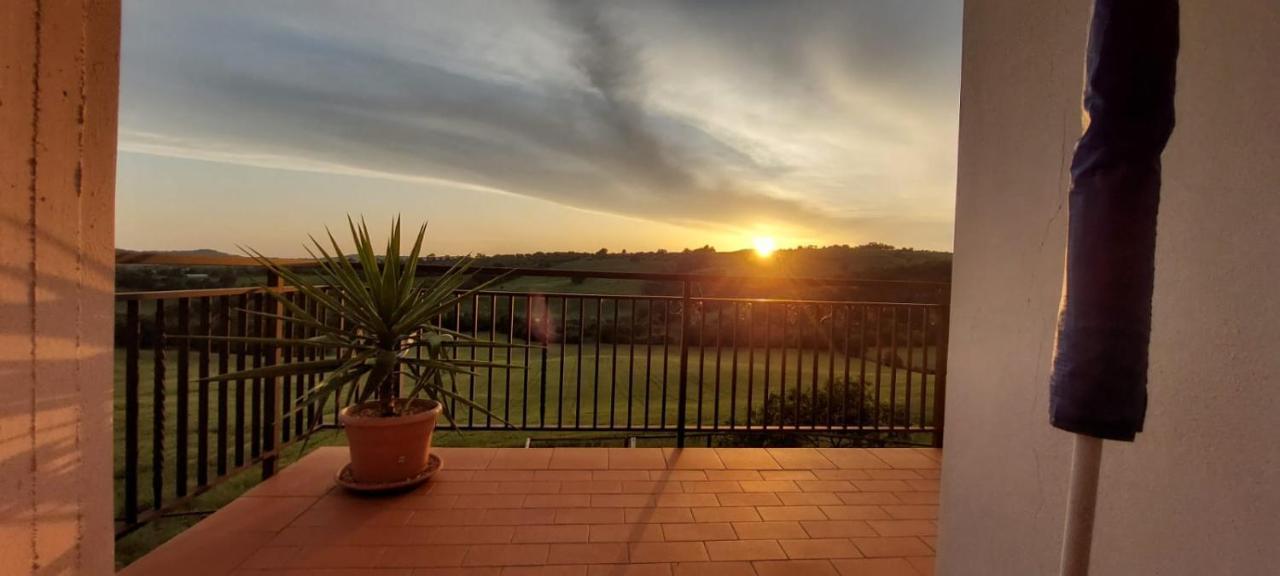 Agriturismo Podere Verdicchio スカンサーノ エクステリア 写真