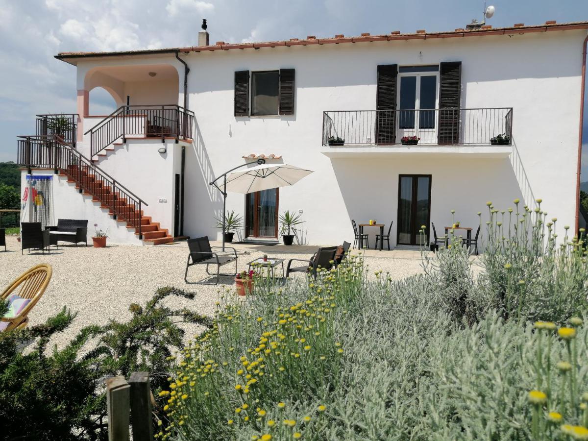 Agriturismo Podere Verdicchio スカンサーノ エクステリア 写真