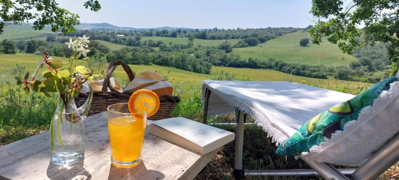 Agriturismo Podere Verdicchio スカンサーノ エクステリア 写真